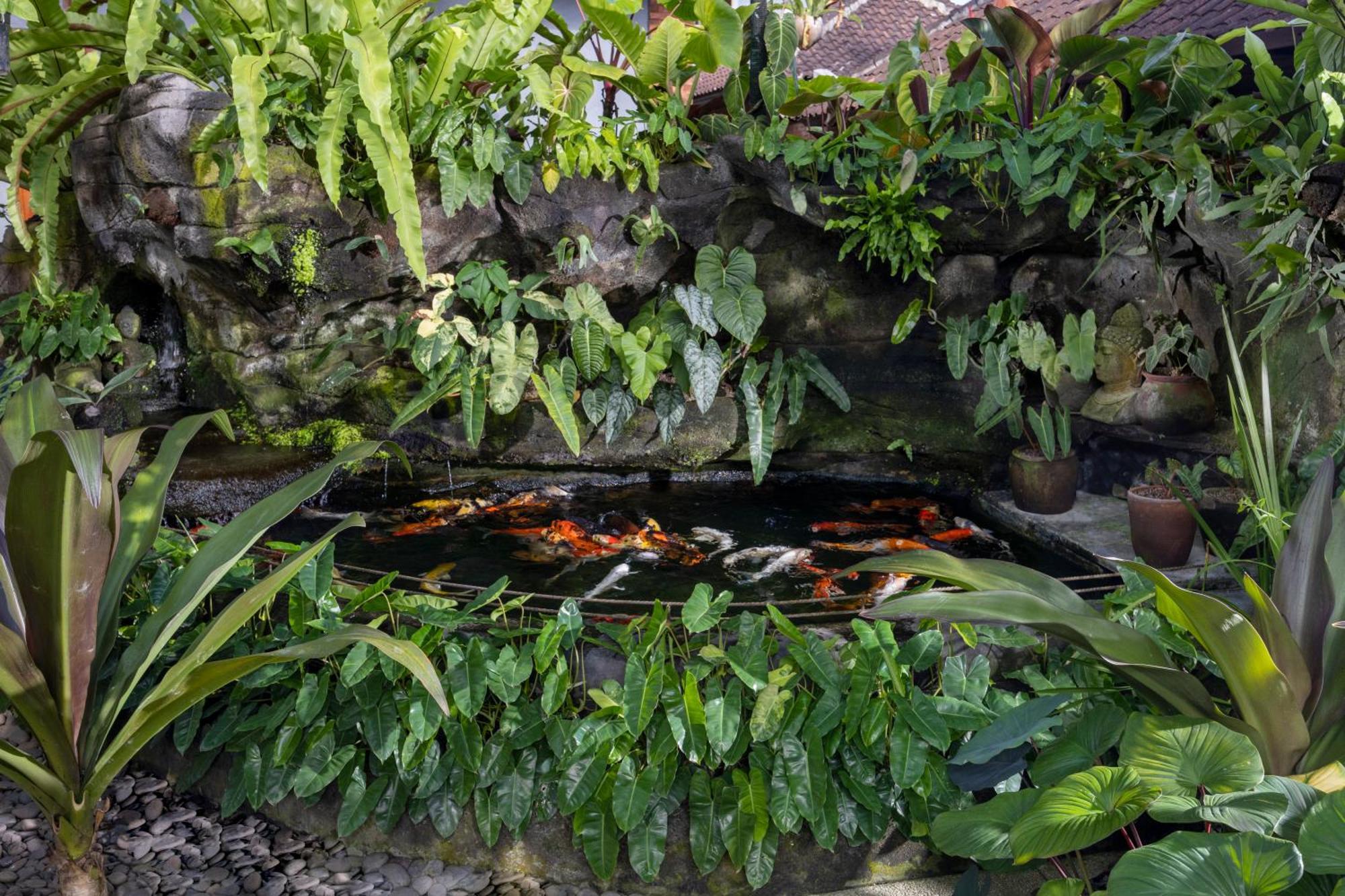 Cloudspace Ubud エクステリア 写真